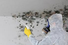 Phillipsburg, NJ Mold Prevention & Removal  Company